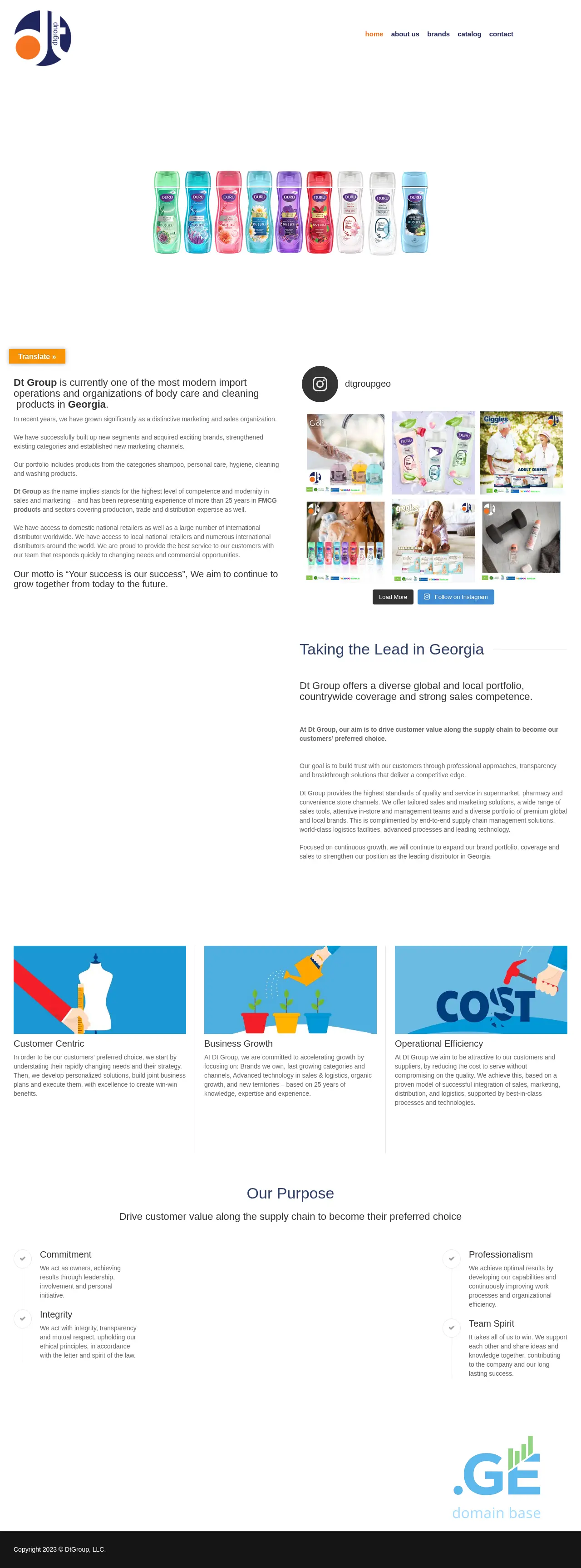 Screenshot of the site dtgroup.ge