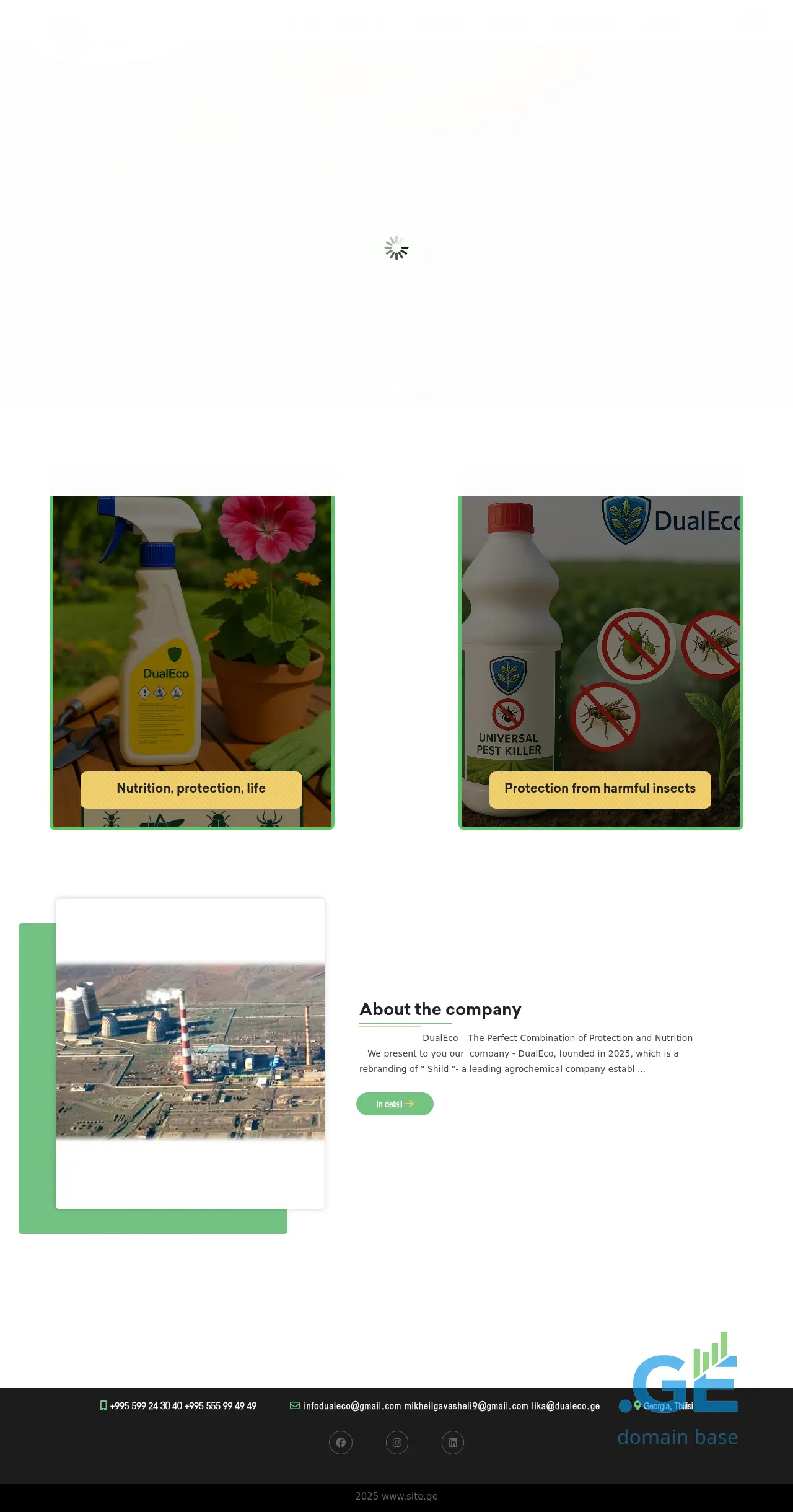Screenshot of the site dualeco.ge