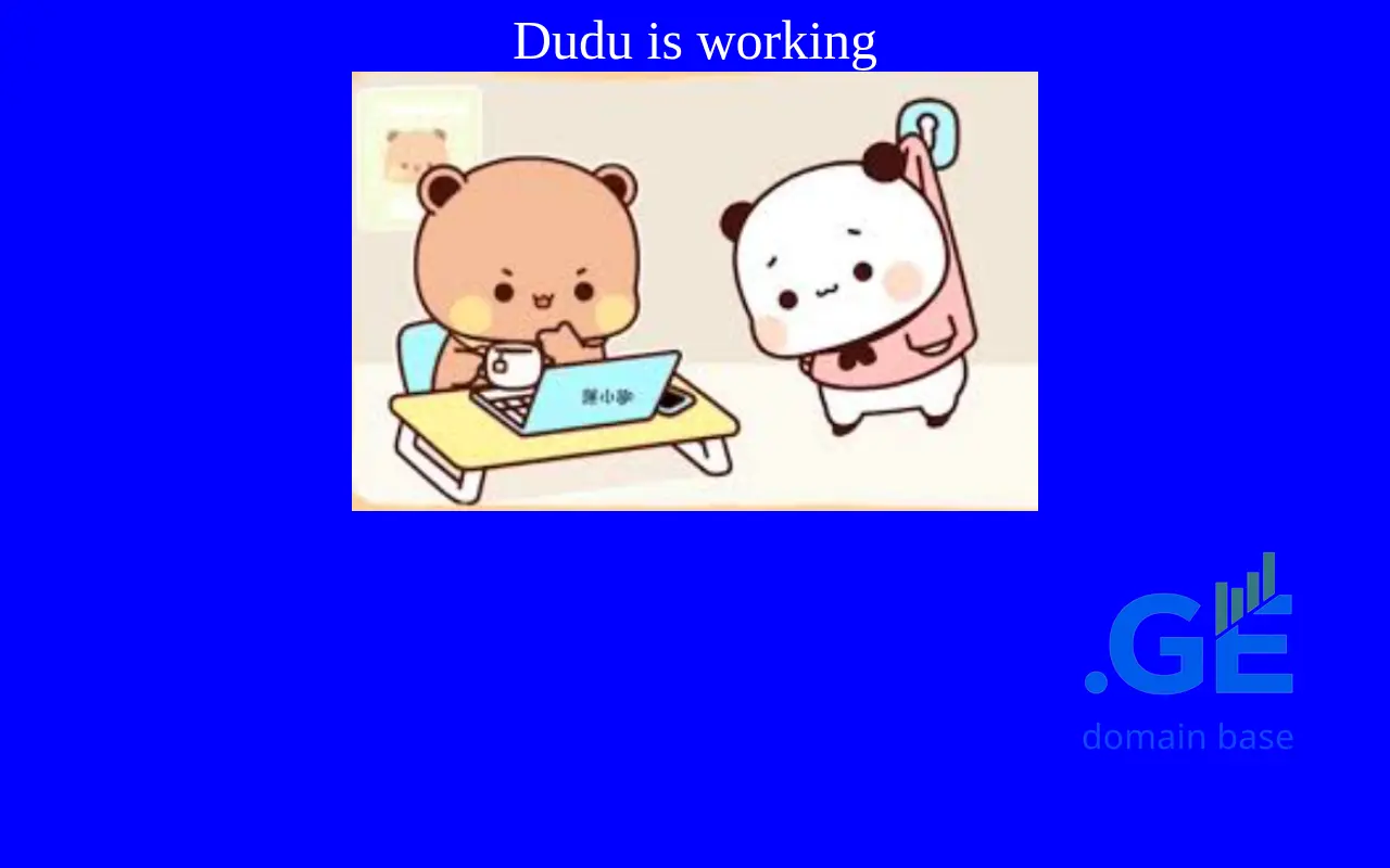 Screenshot of the site dudu-bubu.ge