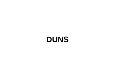Screenshot of duns.ge