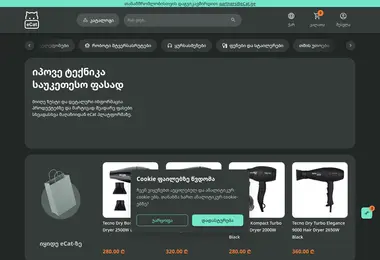 Screenshot of ecat.ge