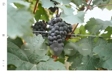 Screenshot of eclipsewine.ge
