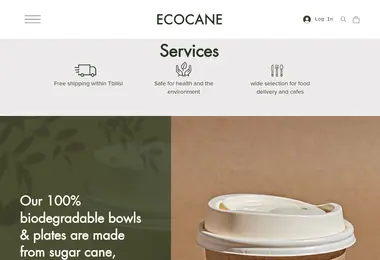 Screenshot of ecocane.ge