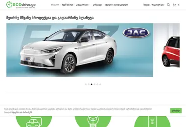 Screenshot of ecodrive.ge