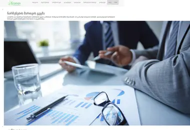 Screenshot of ecoman.ge