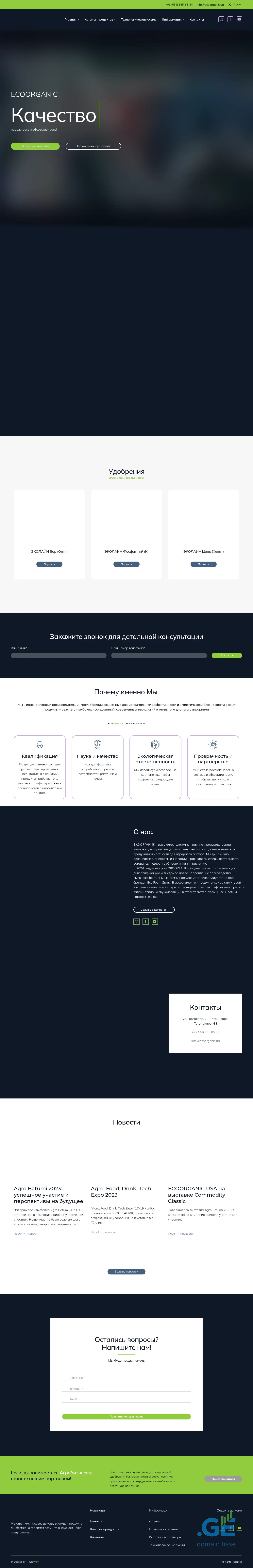 Screenshot of the site ecoorganic.ge