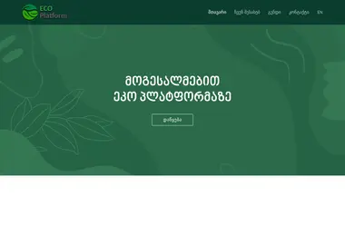 Screenshot of ecoplatform.ge