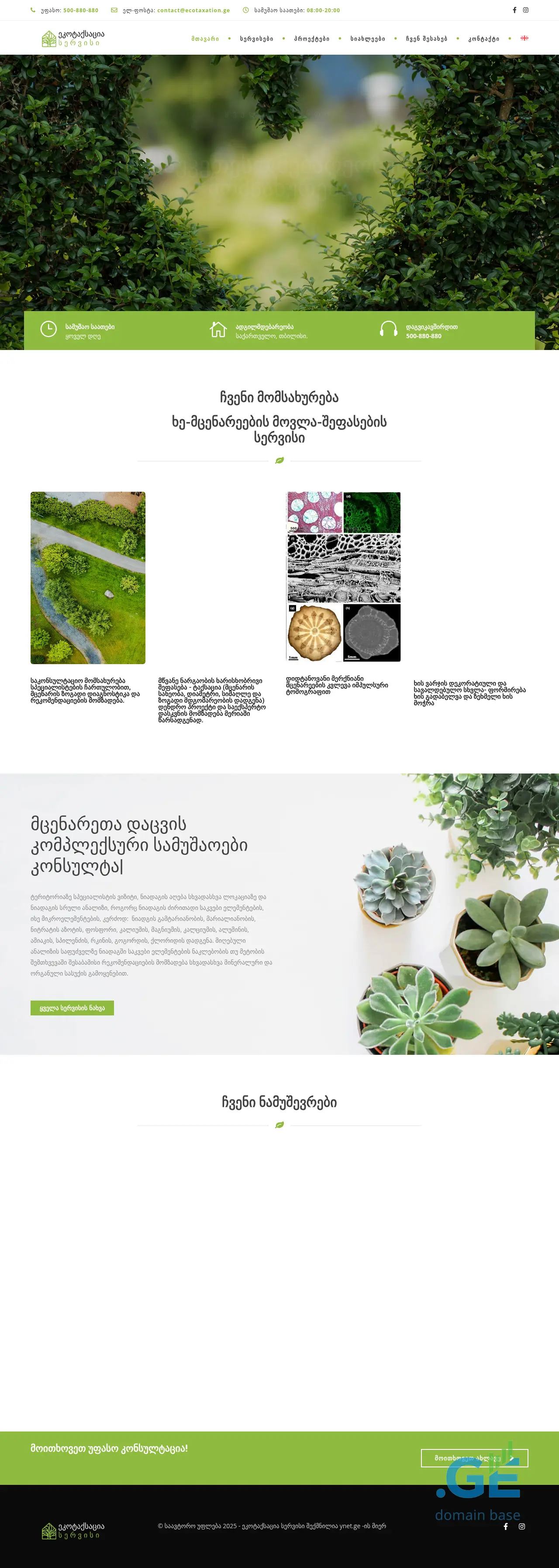 Screenshot of the site ecotaxation.ge