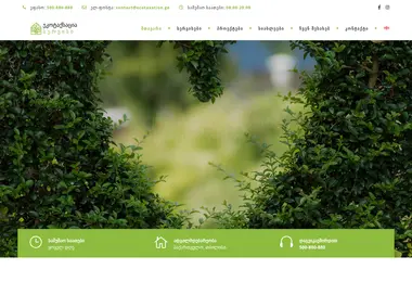 Screenshot of ecotaxation.ge