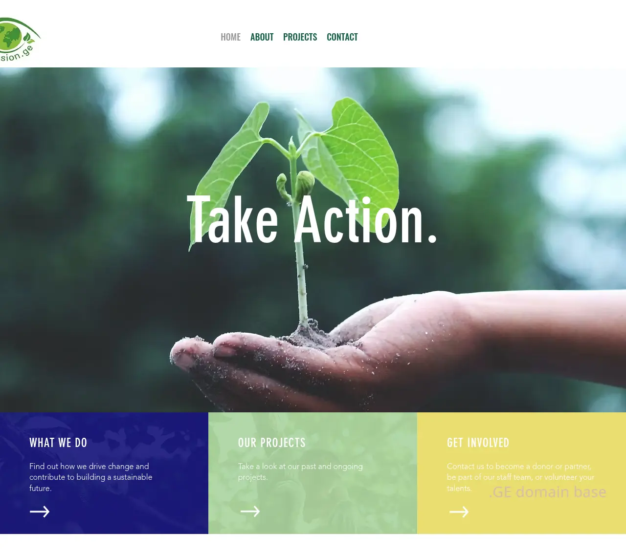 Screenshot of the site ecovision.ge