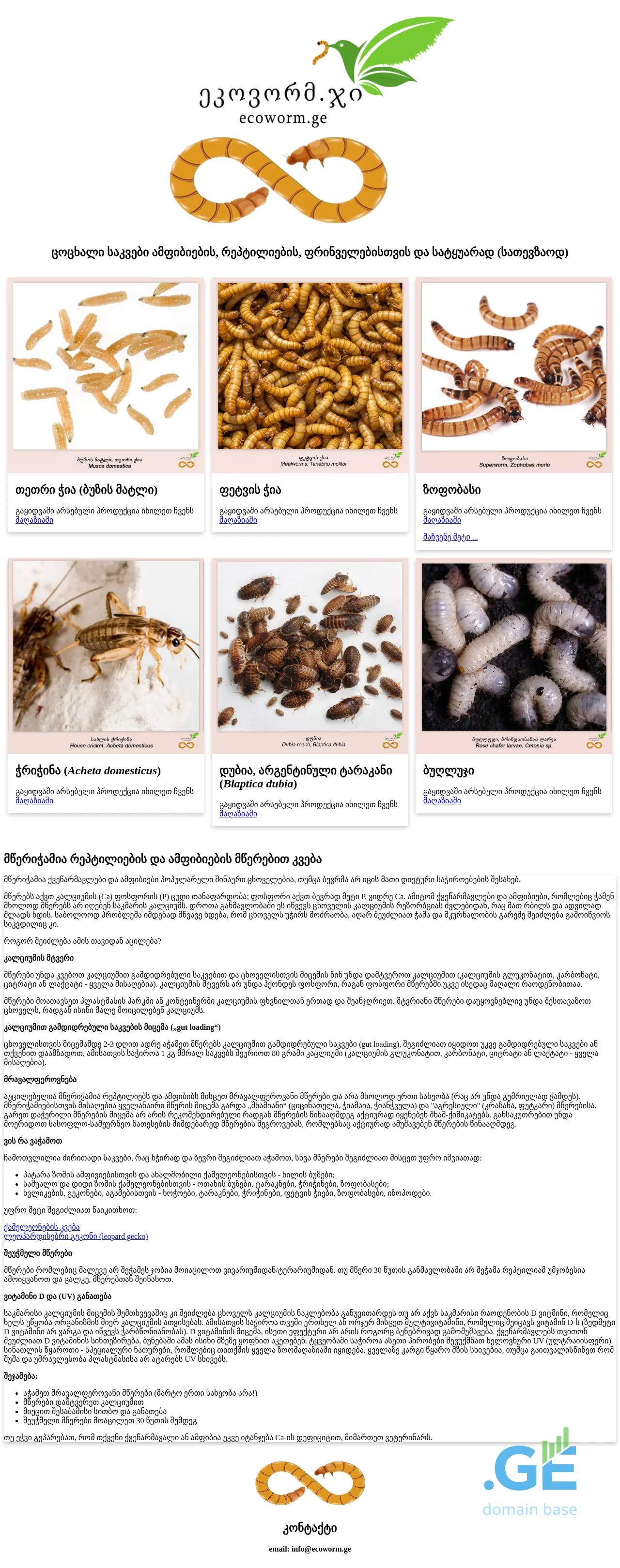 Screenshot of the site ecoworm.ge