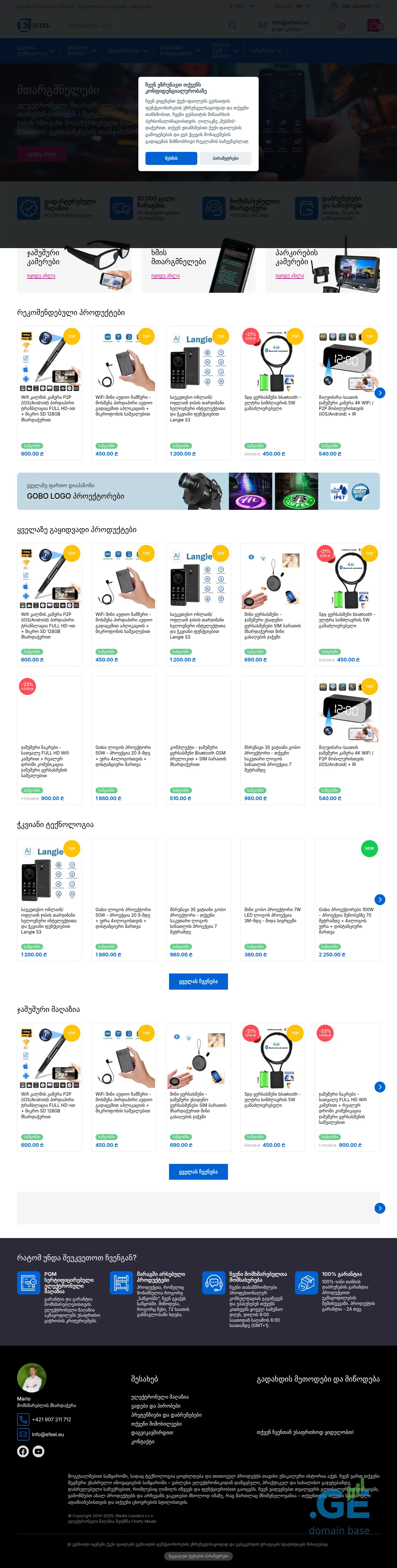 Screenshot of the site efeel.ge