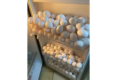 Screenshot of eggfrid.ge