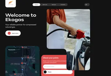 Screenshot of ekogas.ge
