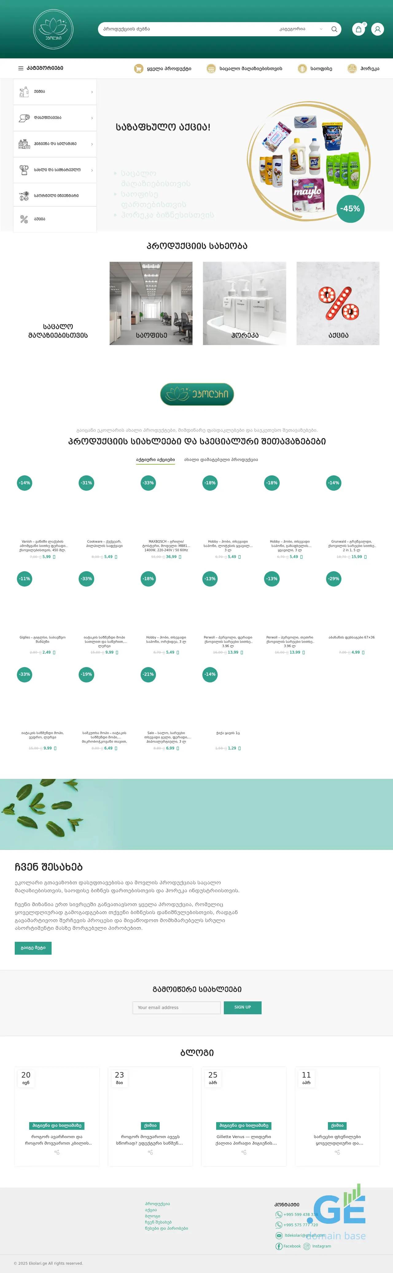 Screenshot of the site ekolari.ge