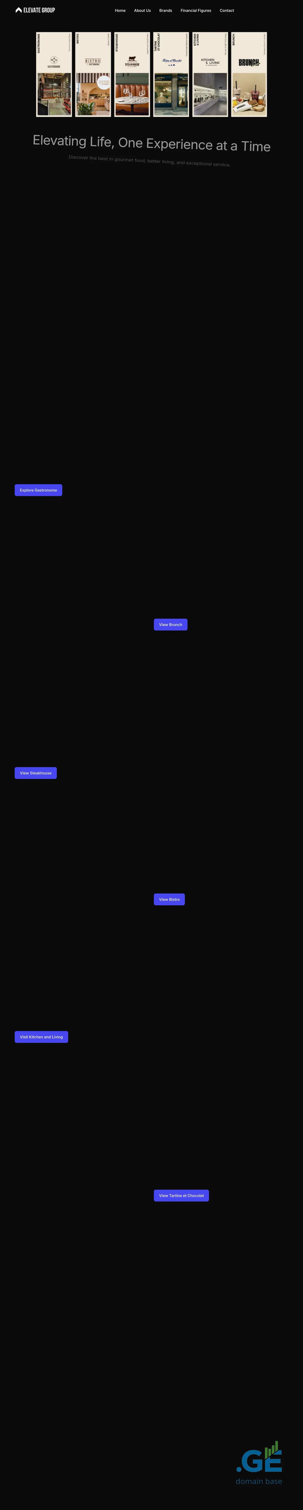 Screenshot of the site elevategroup.ge