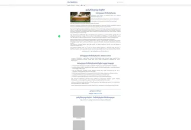 Screenshot of elitbiuro24.ge