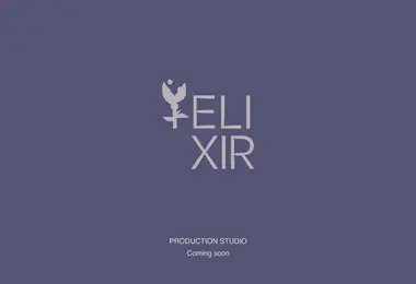 Screenshot of elixirstudio.ge