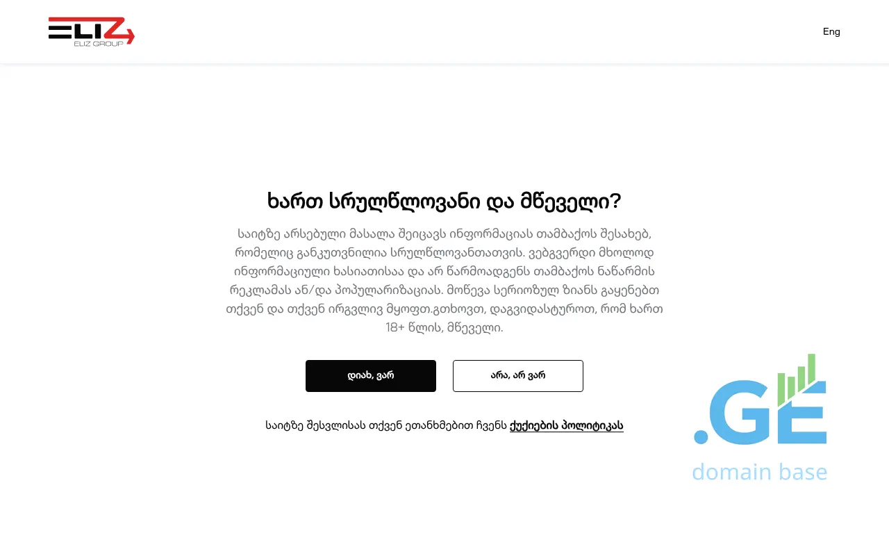 Screenshot of the site elizgroup.ge