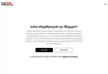 Screenshot of elizgroup.ge