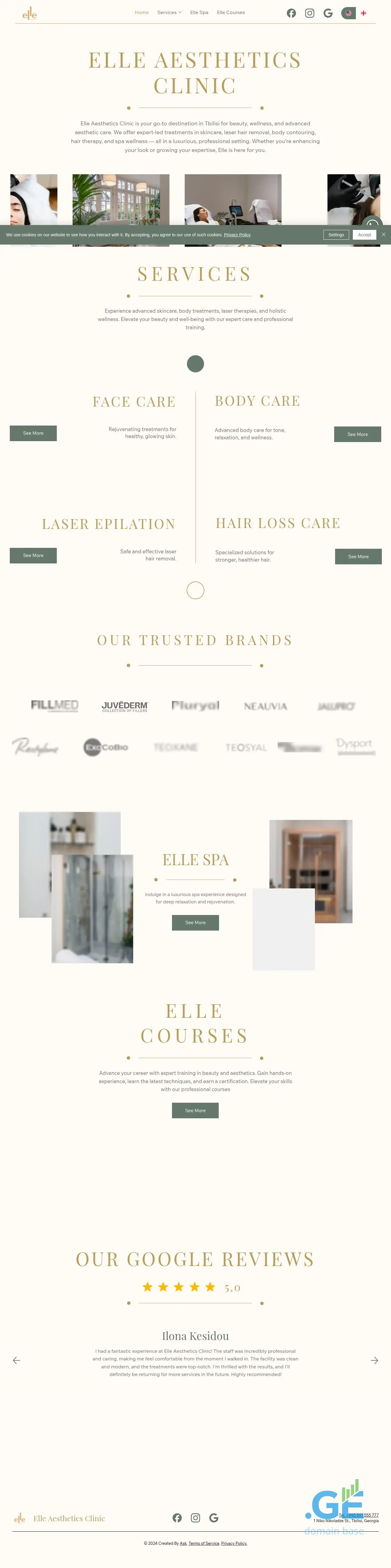 Screenshot of the site elleclinic.ge
