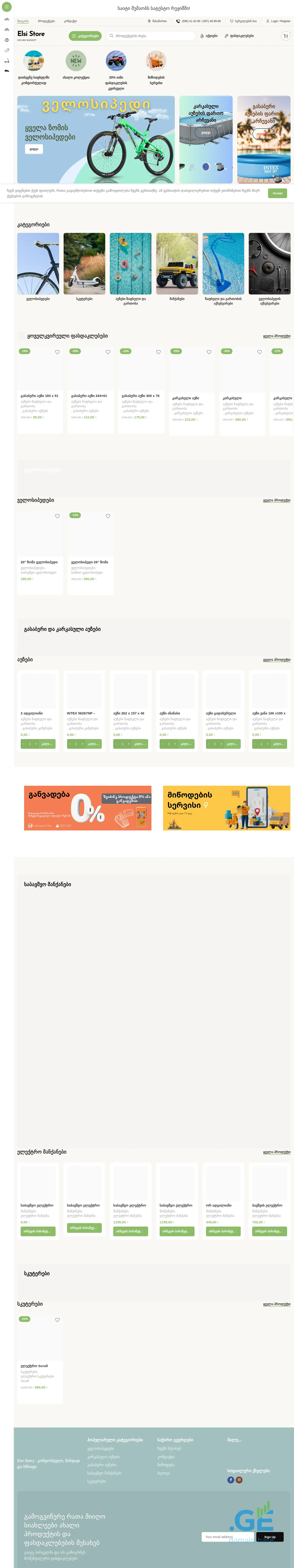 Screenshot of the site elsi.ge