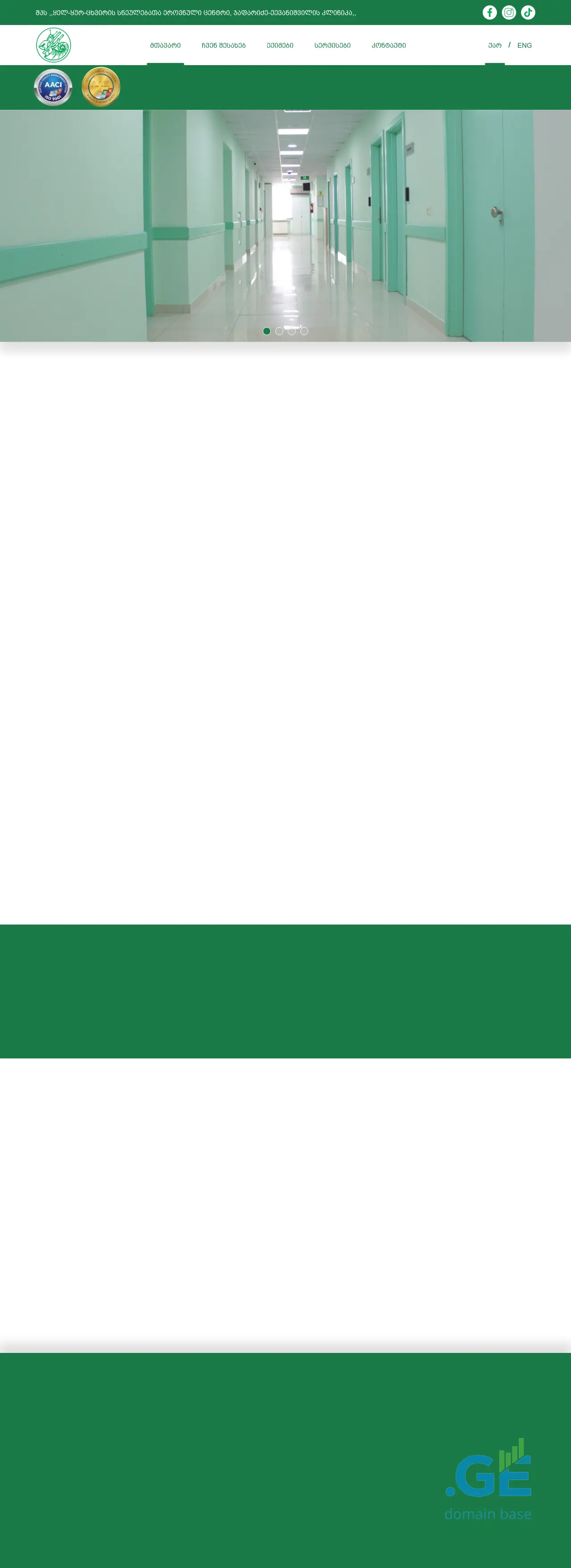 Screenshot of the site entclinic.ge