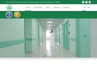 Screenshot of entclinic.ge