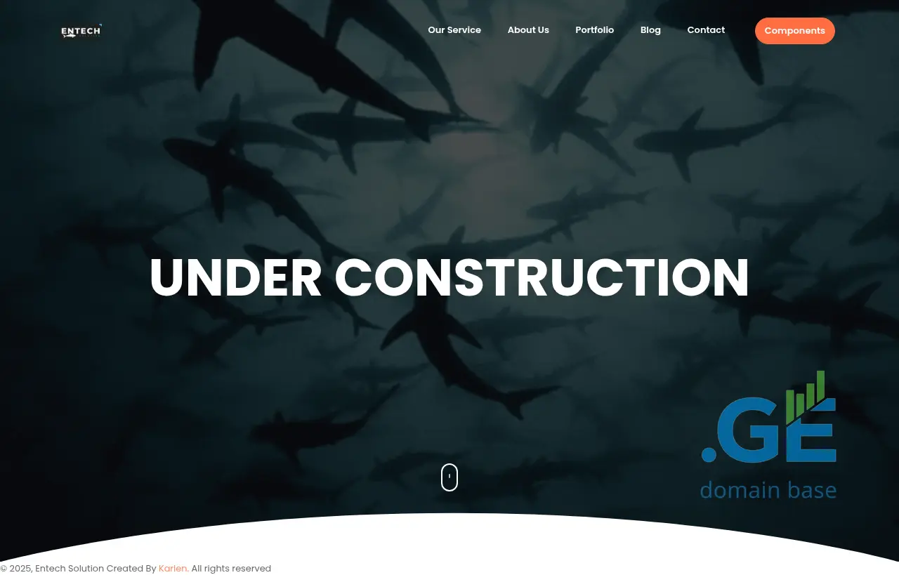 Screenshot of the site entech.ge