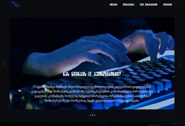 Screenshot of enter.ge