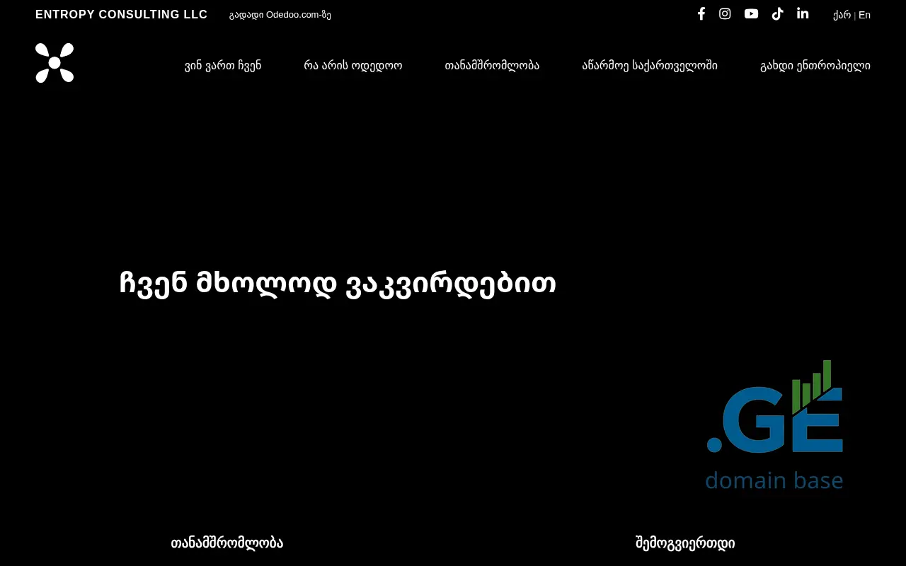 Screenshot of the site entropy.ge