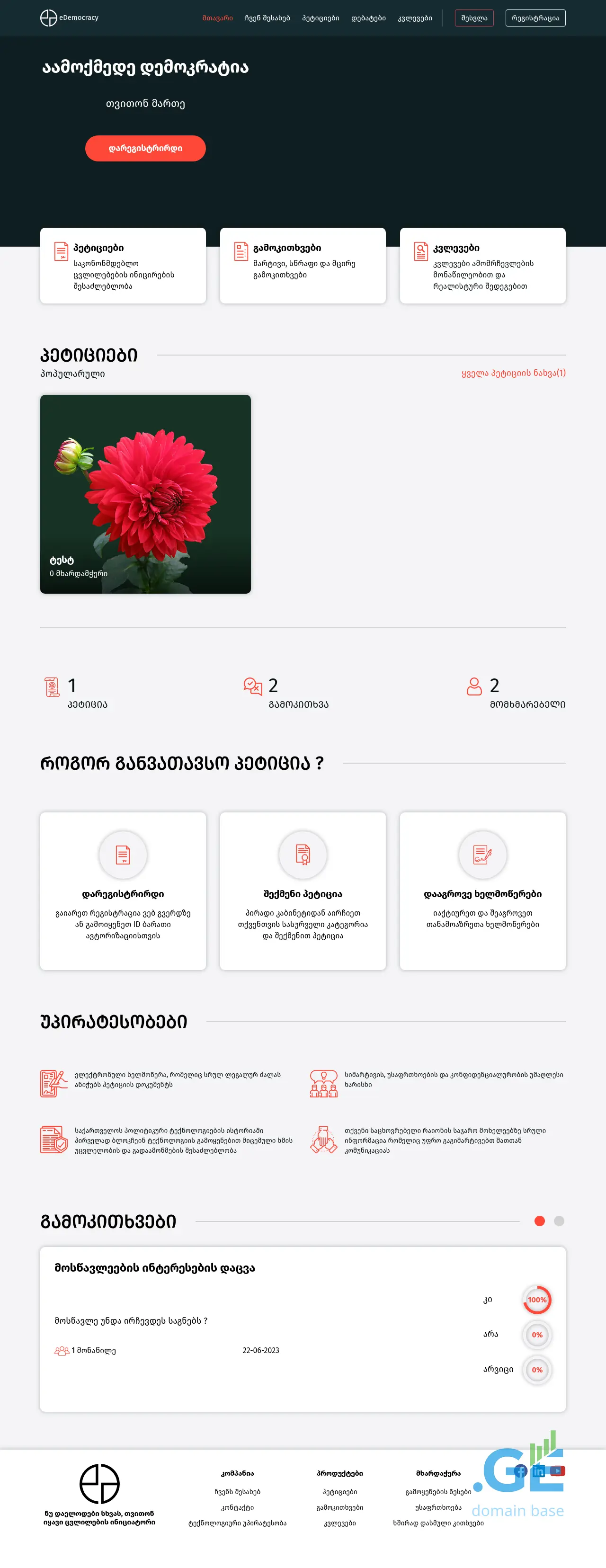 Screenshot of the site epetition.ge