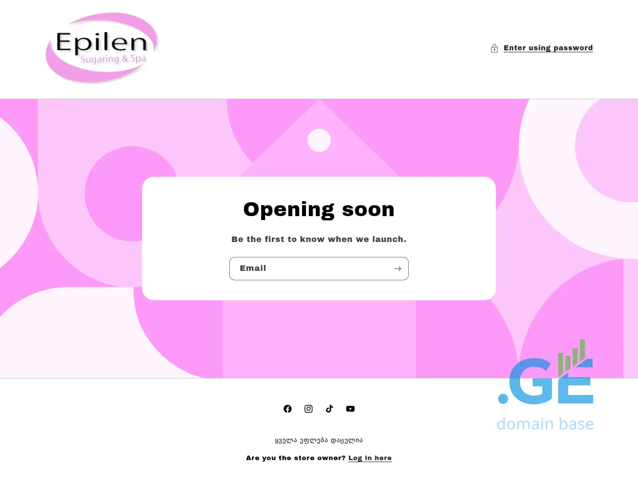 Screenshot of the site epilen.ge