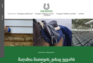 Screenshot of equishoes.ge