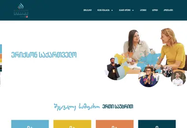 Screenshot of erickson.ge