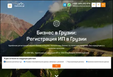 Screenshot of eservices.ge