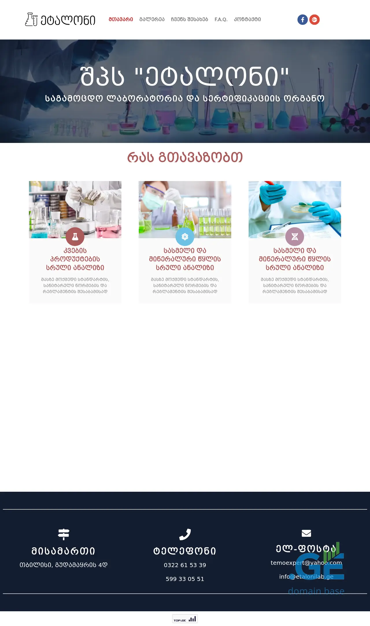 Screenshot of the site etalonilab.ge