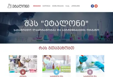 Screenshot of etalonilab.ge