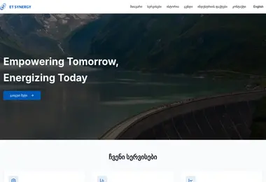 Screenshot of etsynergy.ge