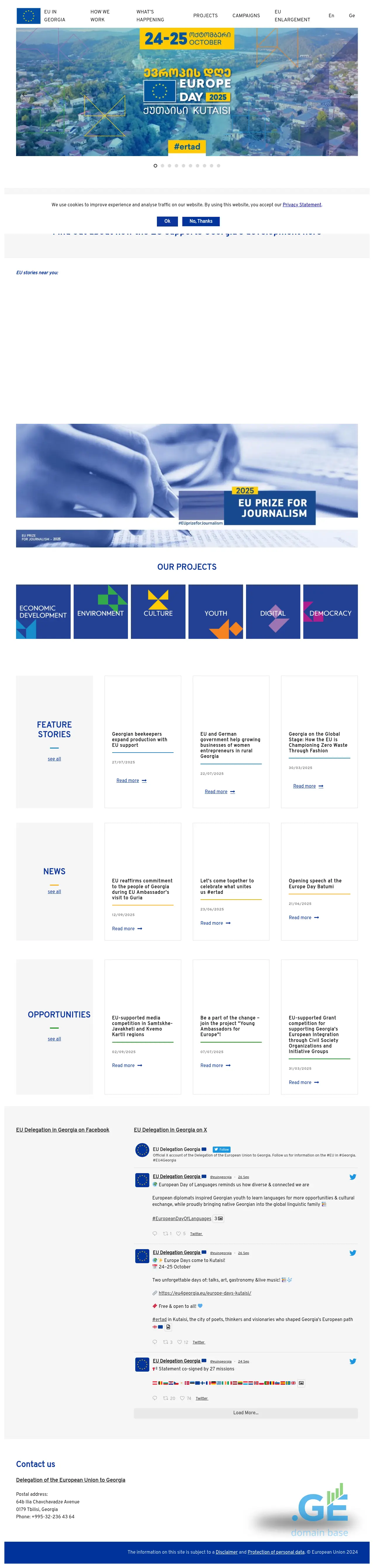 Screenshot of the site euingeorgia.ge