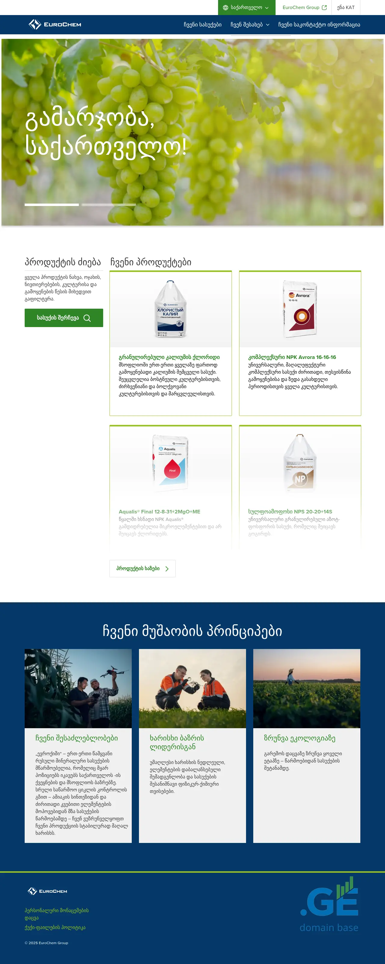 Screenshot of the site eurochem.ge