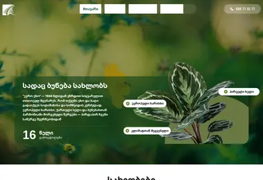 Screenshot of euroezo.ge
