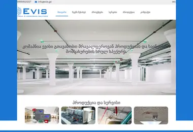 Screenshot of evis.ge