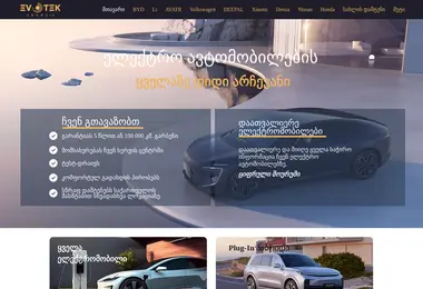 Screenshot of evotek.ge