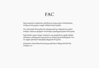 Screenshot of fac.ge