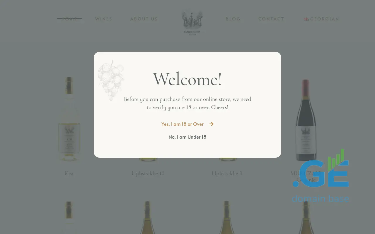 Screenshot of the site fatherandsoncellar.ge