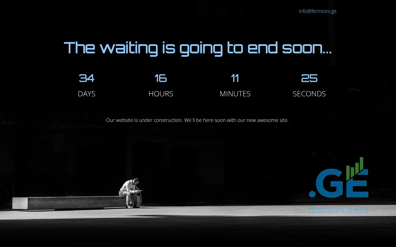 Screenshot of the site fermioni.ge