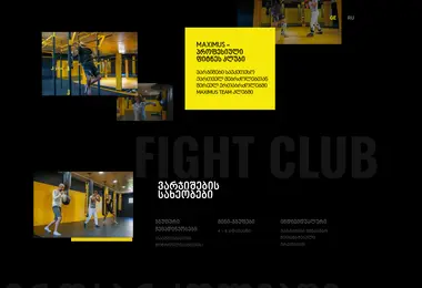 Screenshot of fightclub.ge