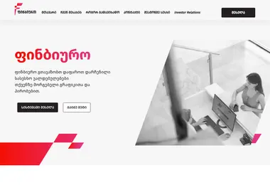 Screenshot of financialbureau.ge