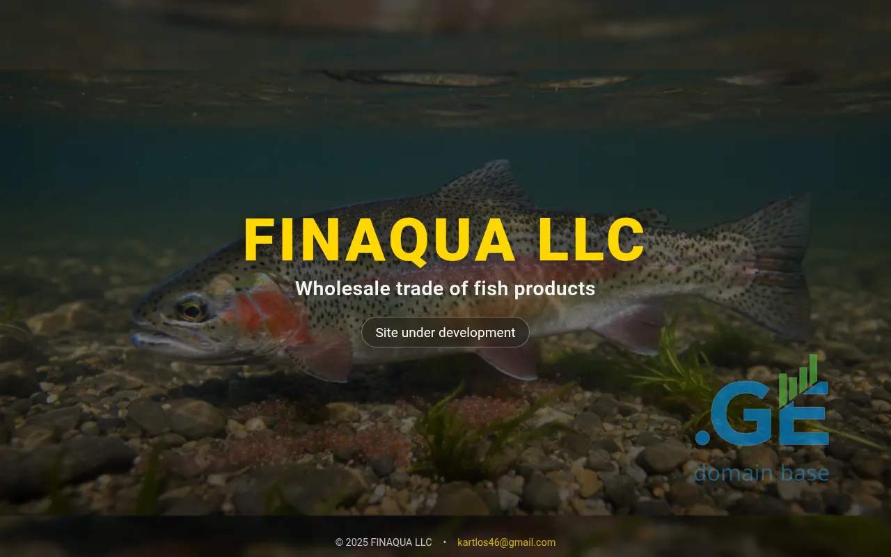 Screenshot of the site finaqua.ge